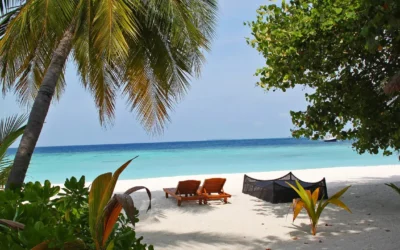 Dropjes in de Woestijn